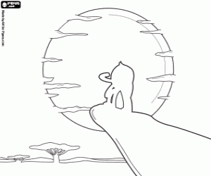 Colora Pypus come Simba il re leone