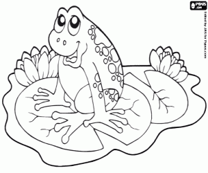 Colora Una rana su una ninfea