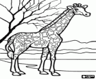 Giraffa nel paesaggio