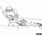 Un sciatore in una concorrenza di slalom 