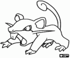 Rattata - Pokémon tipo Normale, ratto d'attacco rapido