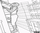 Spiderman che scala di un edificio con i suoi aderenti superpotenza a quasi tutte le superfici