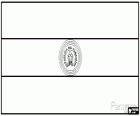Bandiera di Paraguay o Paraguai 