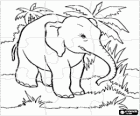 Puzzle di elefante nella giungla