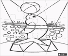 Puzzle di foca che fare un esercizio di circo con anelle girando nil corpo e palla nel naso