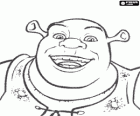 Volto di Shrek, l'orco felice e sorridente