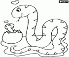 Serpente femminile con il suo piccolo subito dopo la rottura del guscio d'uovo