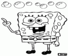 SpongeBob è una spugna di mare, con grandi occhi