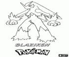 Blaziken è la forma finale di un Torchic, dopo l'evoluzione en Combusken