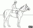 Fantino a cavallo sul suo cavallo prima della partenza di una gara