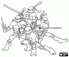 I quattro Tartarughe Ninja: Leonardo, Michelangelo, Donatello e Raffaello. Tartarughe Ninja o TMNT