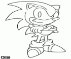 Sonic the Hedgehog, il protagonista principale della serie di videogiochi Sonic