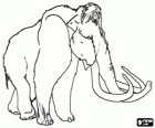 Il mammut lanoso è una specie di elefante che ha vissuto nell'era glaciale
