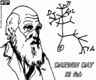 Darwin Day, Charles Darwin nacque il 12 febbraio del 1809. Albero di Darwin, il primo schema della sua teoria dell'evoluzione