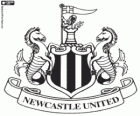 Emblema del Newcastle United FC, squadra di calcio in Inghilterra