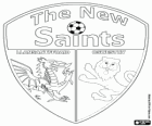 Logo dei The New Saints FC, club di calcio gallese