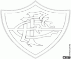 Emblema della Fluminense FC, club sportivi e squadra di calcio a Rio de Janeiro, Brasile