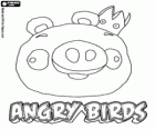 Re Maiale appare alla fine degli gioco Angry Birds