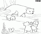 Mamma orsa guarda i giochi delli cuccioli d'orso