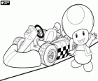 Toad con un kart. Toad è un cittadino del Regno dei Funghi e fedele servitore della Principessa Peach