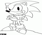 Sonic il riccio, il protagonista principale dei giochi di Sonic di Sega