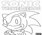 Sonic The Hedgehog, l'eroe della serie di giochi di Sonic di Sega