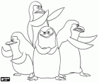 I Pinguini di Madagascar