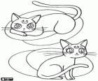 Luna e Artemis, i gatti sono consiglieri di diversi personaggi storie di Sailor Moon