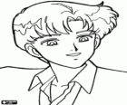 L'attraente Darien o Mamoru Chiba, uno dei protagonisti di Sailor Moon