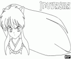 La testa di Inuyasha con i suoi lunghi capelli
