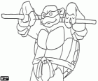 Donatello, l'arma di questa tartaruga ninja è il lungo bastone giapponese Bo