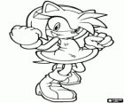 Amy Rose, la femmina di riccio che pretende di essere la fidanzata di Sonic