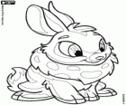 Cybunny, il coniglietto bellissimo da Neopets