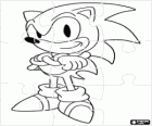 Puzzle di Sonic The Hedgehog
