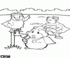 Linny, Tuck e Ming Ming nel giardino. Wonder Pets