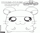 Cappy, il giovane Ham-Ham che ama i cappelli con cuffia