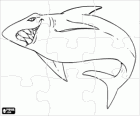 Puzzle di squalo. Rompicapo di pesci