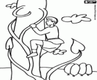 Jack e la pianta di fagioli. Jack si arrampica il gambo del fagiolo. Jack e il fagiolo magico