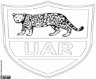 Logo della squadra nazionale di rugby dell'Argentina, los pumas. Emblema, il giaguaro