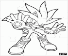Rompicapo di Silver the Hedgehog, il riccio che viene dal futuro