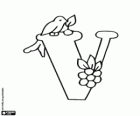 Lettera V con un uccellino e un racemo di frutta