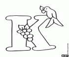 Lettera K con un uccellino e un racemo di frutta