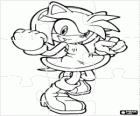 Puzzle de Amy Rose, la fidanzata di Sonic