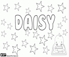 Daisy, la sua origine è il nome in inglese di un fiore, la margherita