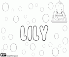 Lily, nome di origine inglese, derivato dal nome del fiore, il giglio