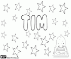 Tim, una forma breve del nome Timothy. Tim, nome diminutivo usato in varie lingue come inglese e tedesco, tra gli altri