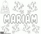 Mariam, nome con varie origini e significati. Mariam, variante di Maryam