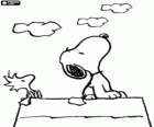 Snoopy e Woodstock guardando il cielo
