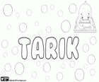 Tarik, nome di origine araba. Proviene dalla brillante stella dal Corano, Tariq