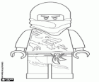 Un guerriero ninja, Lego Ninjago